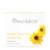 Revolution Tea Golden Chamomile Flowers Herbal