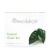 Revolution Tea Tropical Green OP=OP